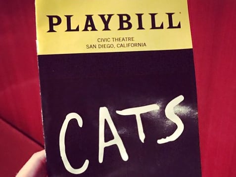 CATS voted best musical