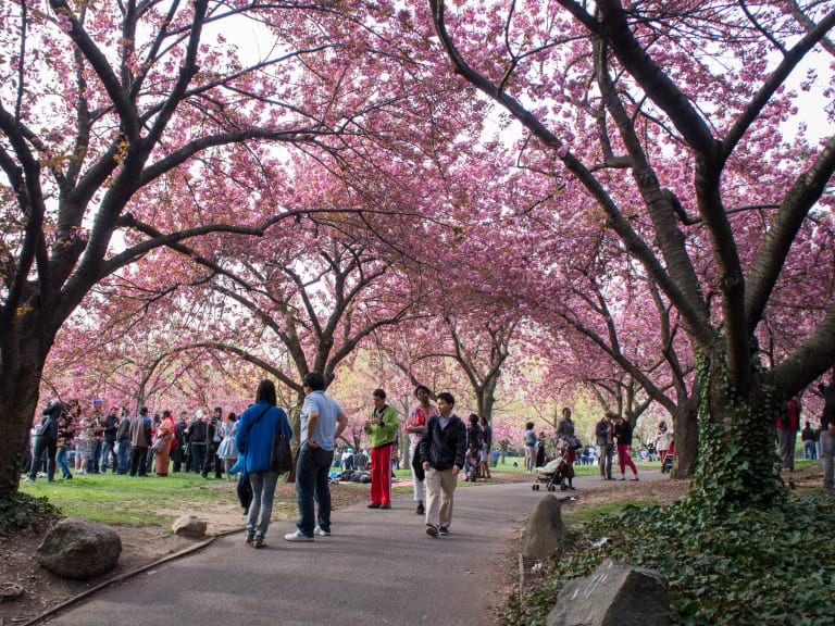 10 Aktivitäten in New York im April Hellotickets