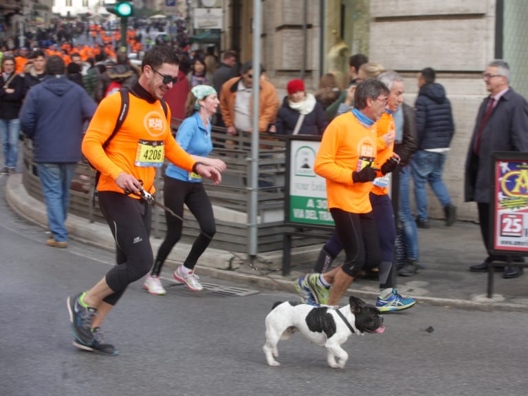 We run Romeに参加して| ©Mara Jochem