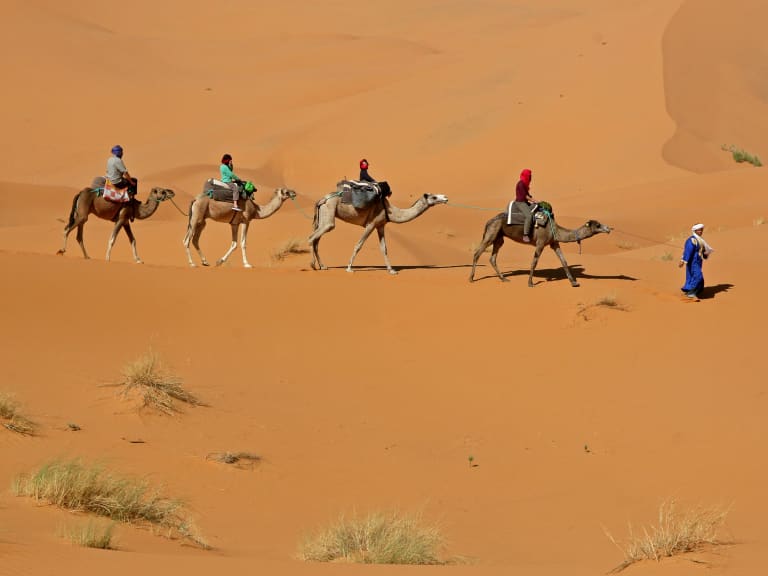 Through the desert by camel| ©Jose David Vazquez Moreno