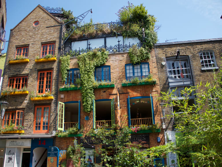 Visiting Neal's Yard| ©DavidSandoz