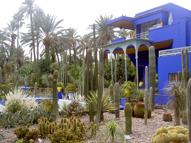 Majorelle Garden| ©Kamal Hammadi