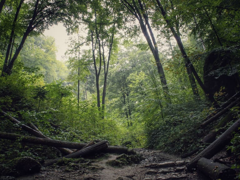 Touring the Ojców National Park| ©Damian Borkowski