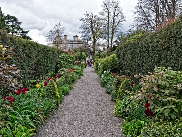 Iveagh Gardens| ©William Murphy