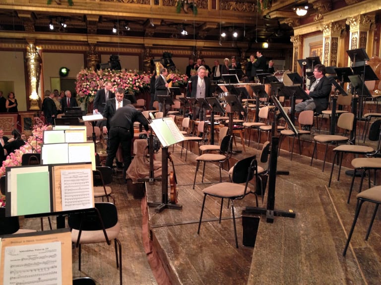 Concertos e Jantares de Música Clássica em Viena - Hellotickets
