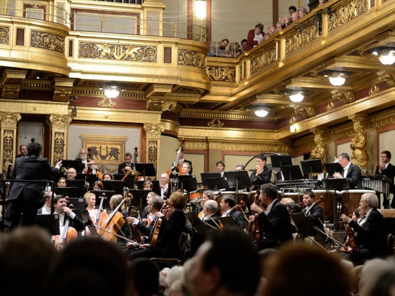 Concertos e Jantares de Música Clássica em Viena - Hellotickets