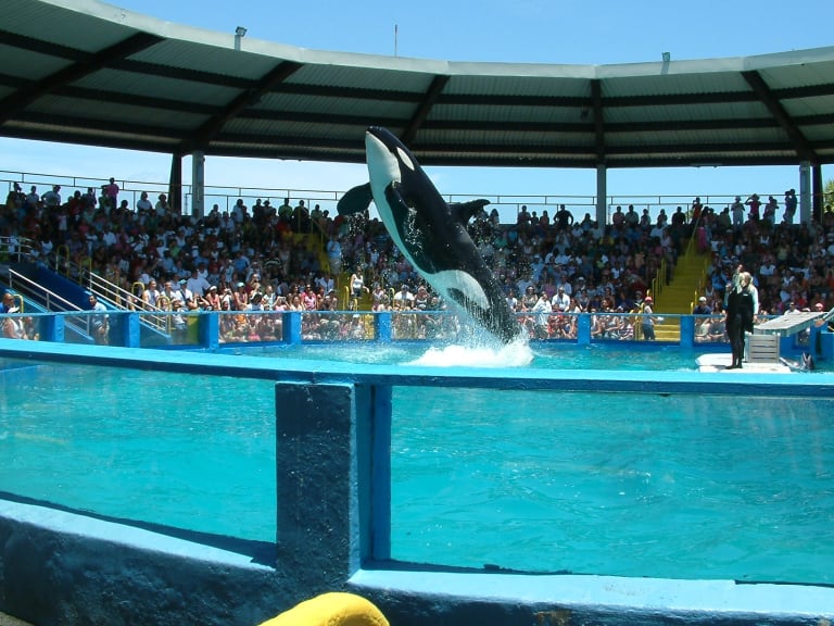 Miami Marine Aquarium| ©contento