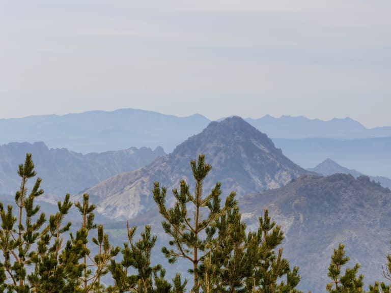 Visiting the Sierra Nevada| ©Steve Slater