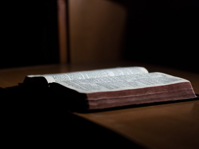 Reading Poetry| ©John-Mark Smith