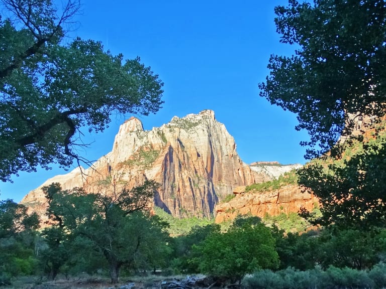 Sunrise in Zion National Park| ©Don Graham