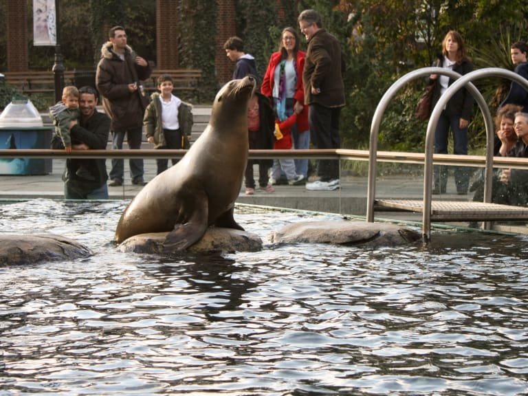 Niños visitando al Leon Marino | ©-JvL-