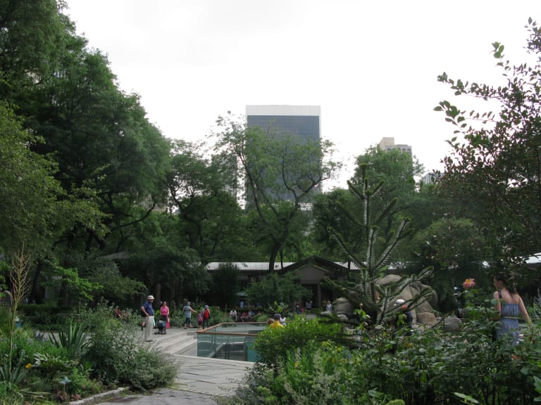 Caminando por el Zoo de Central Park | ©Ann Oro