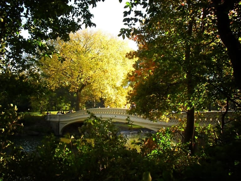 Bow Bridge, Central Pak | ©Vivienne Gucwa