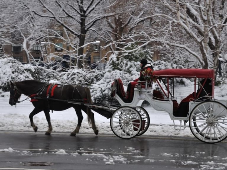 Paseo en Carruaje en Invierno | ©Edward Kammerer