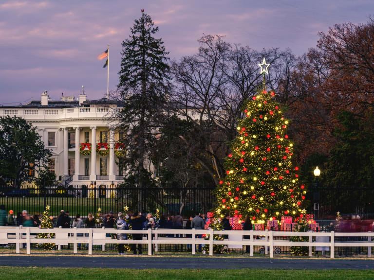 12 Things to Do in Washington DC in December Hellotickets