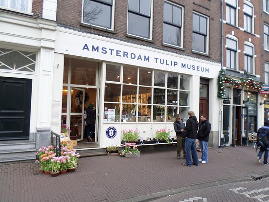 Amsterdamin tulppaanimuseo| ©kgb