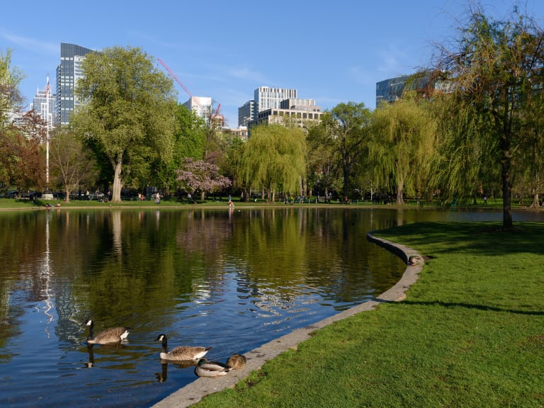 Beacon Hill, jardim público, história de Back Bay + passeio