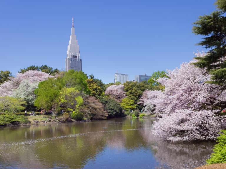 Shinjuku Gyoen National Garden| ©Kakidai