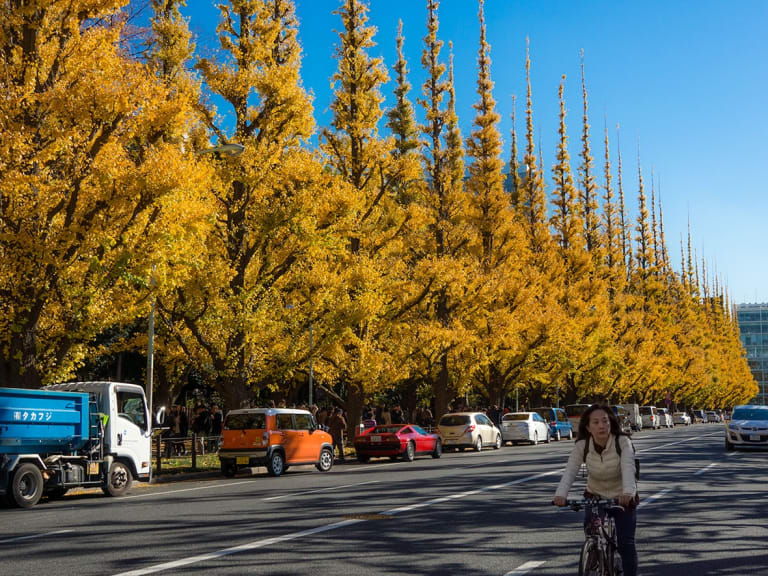 東京の秋| ©Blue Ridge Walker