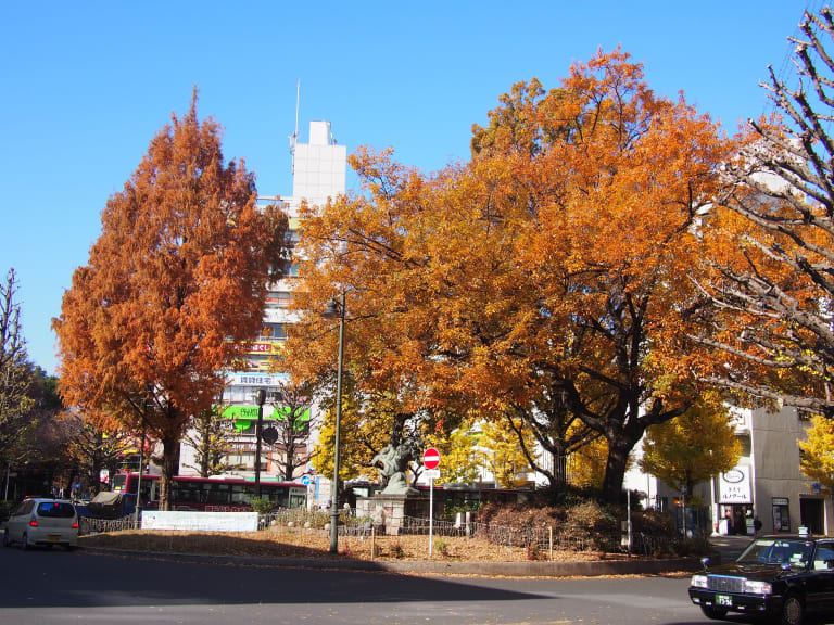 東京の秋| ©nakashi