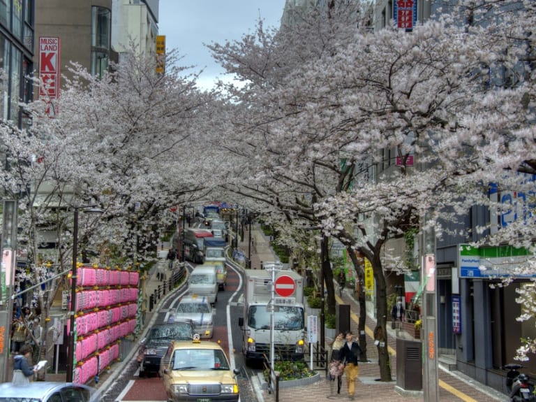 東京の春| ©Shibuya246