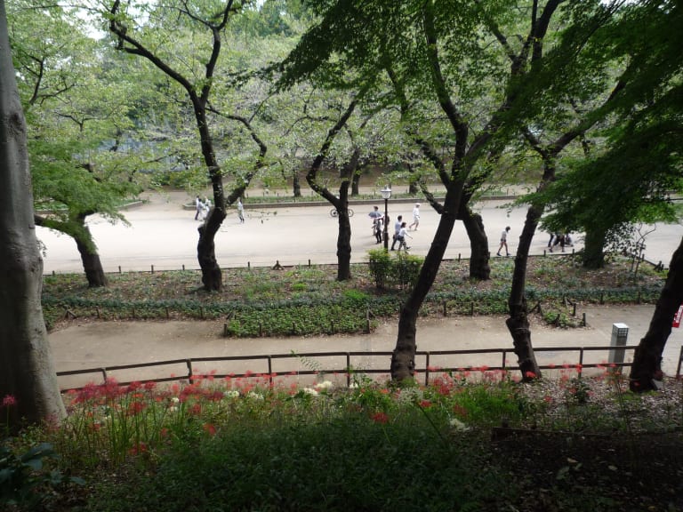 上野公園| ©Sjaak Kempe