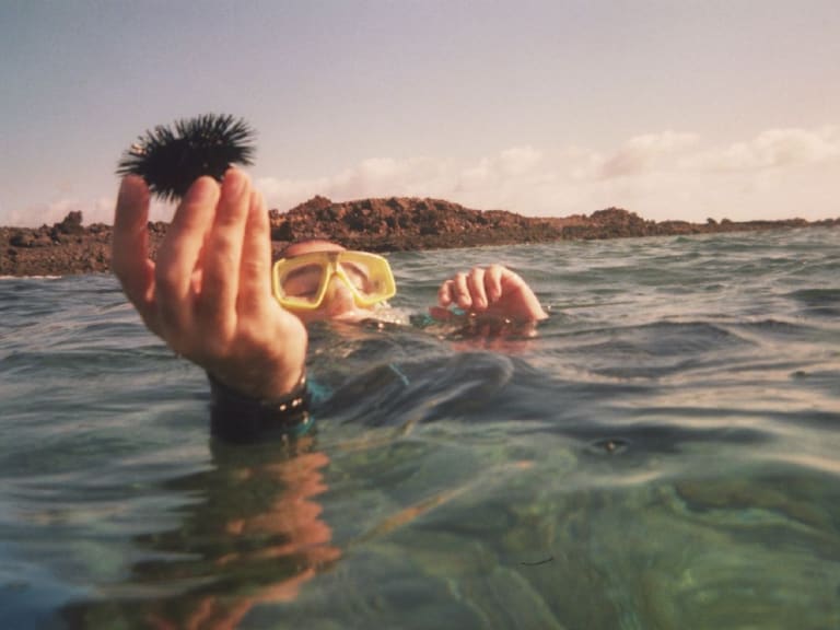Collecting and observing| ©Caitriona