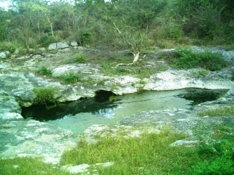 Chen-Ha Cenote| ©Inri