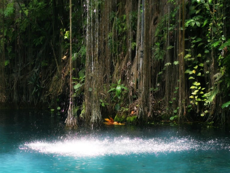 Inside a Cenote| ©Chuck Barker