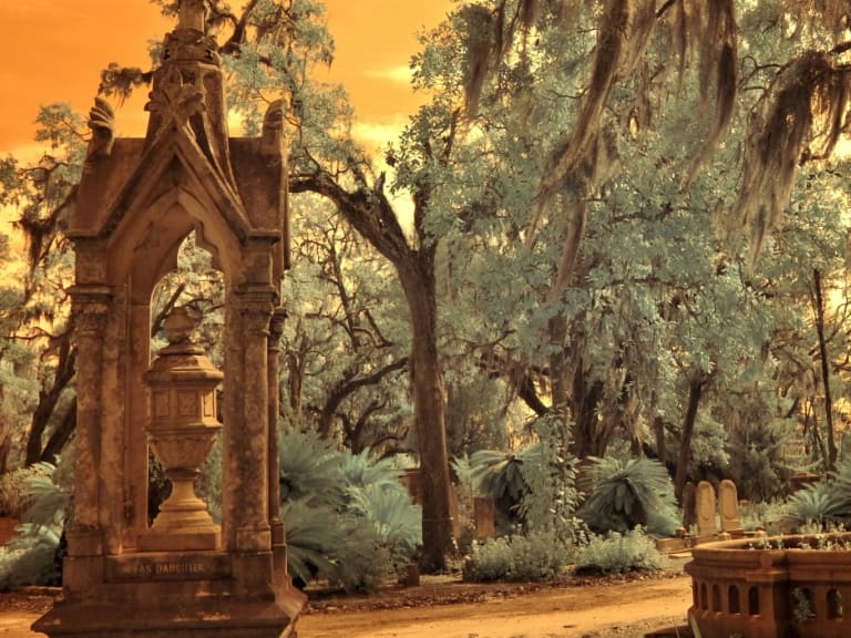 59 Coisas para Fazer em Savannah - Hellotickets