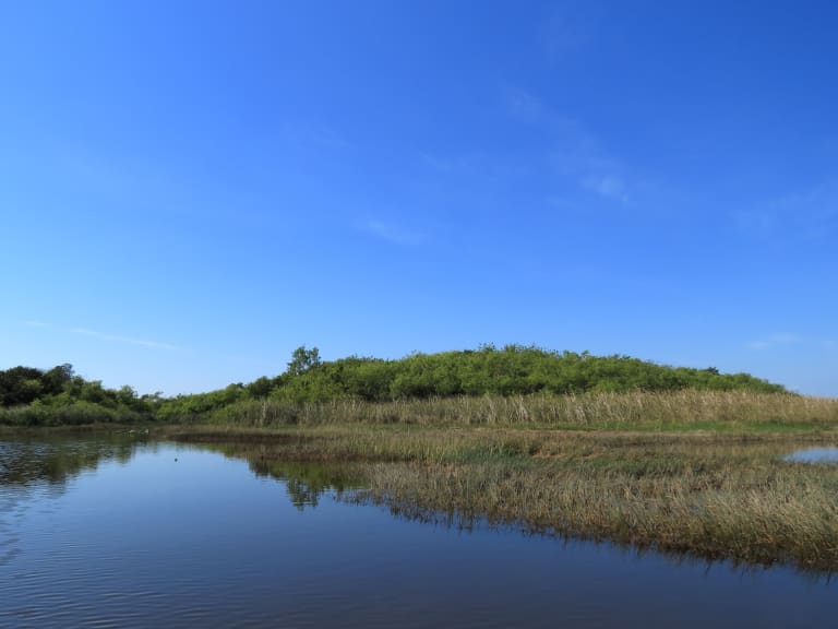 Everglades National Park| ©M.Peinado