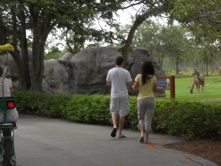 Zoo Day| ©osseous