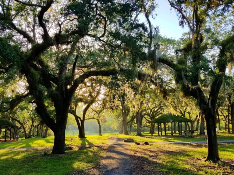 Matheson Hammock Park| ©Sergel