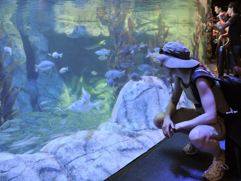 Aquarium Day| ©smerikal
