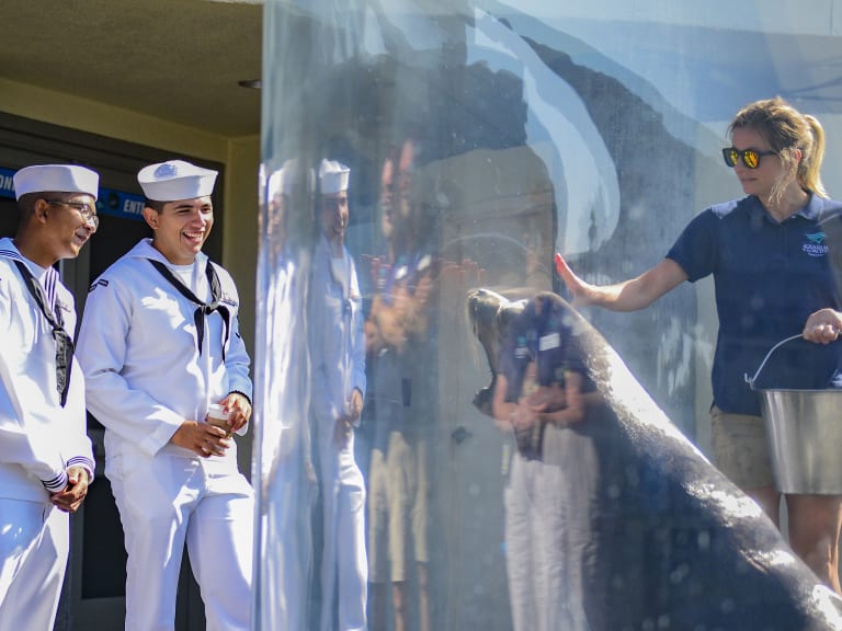 Naval officers at the aquarium| ©Official U.S. Navy Page
