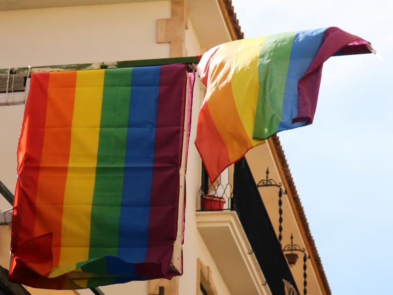 LGBTQの旗|©Dylan Cook