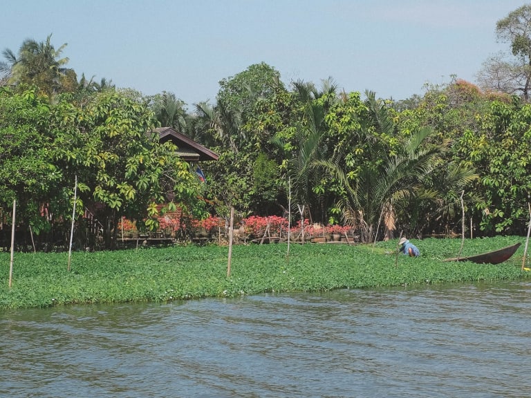 Khao Yai/BKK|©Kaywerlyn Yip