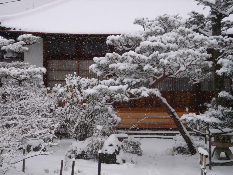 Kyoto Japan Guide: Wearing A Kimono in Winter? 🥶❄️, Gallery posted by  yana