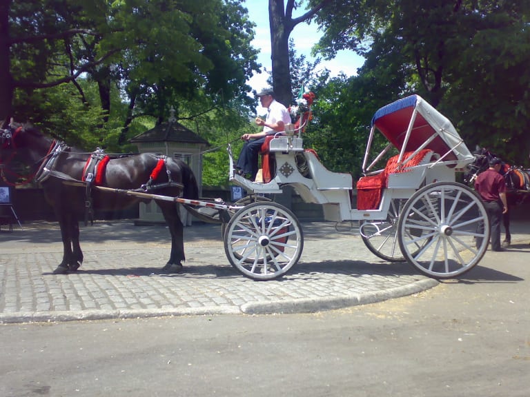 Carriage in Central Park| ©Euan Semple