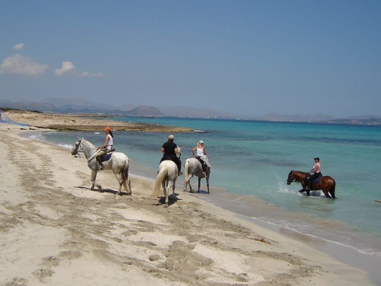 Littoral Tranquille, Plage De Sable, Ciel De Barbe À Papa Et