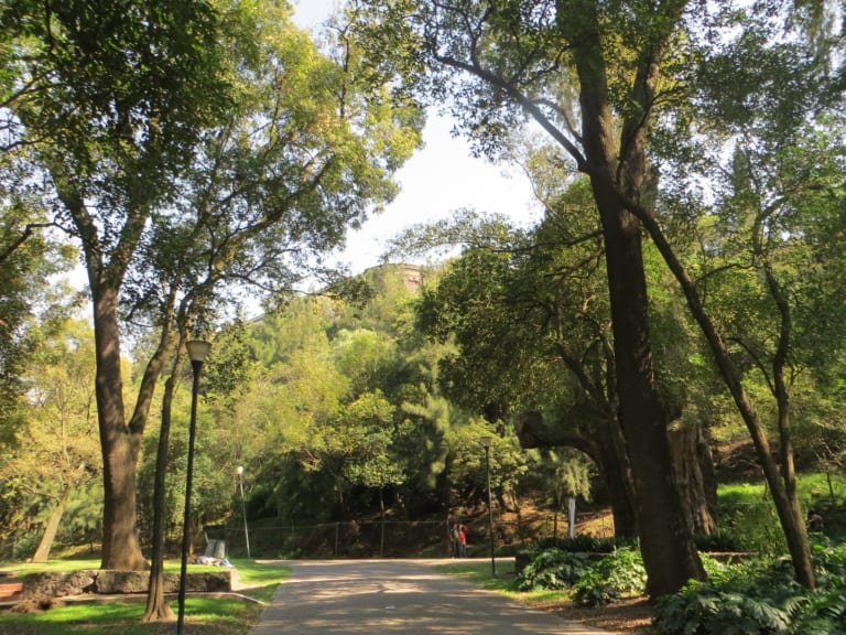 Bosque de Chapultepec | ©luuzzy :)