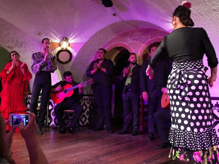 Flamenco|©This.Usually.Works