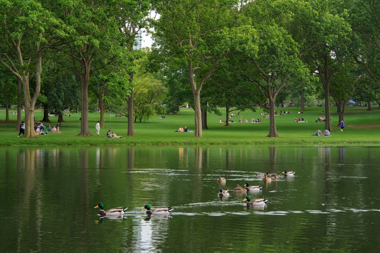 I parken| ©Hellotickets