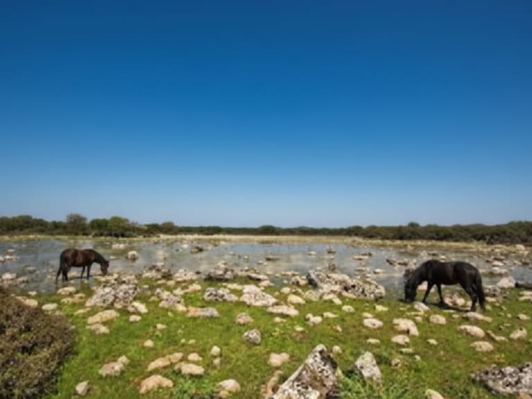 지아라 디 제스트리| ©Hellotickets