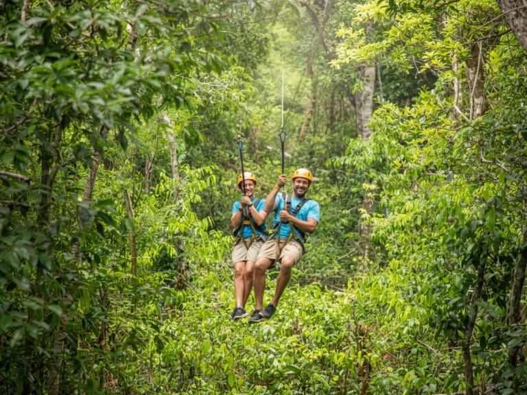 Jungle van Tulum| ©Hellotickets