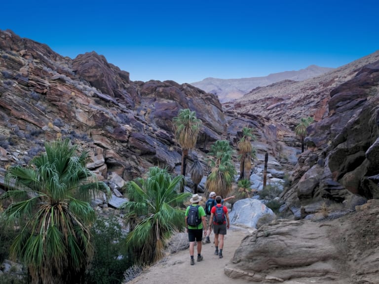 팜스프링스의 사막| ©Hellotickets