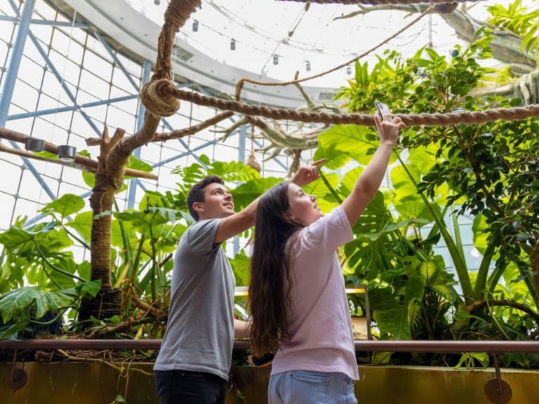 Green Planet| ©Hellotickets IA