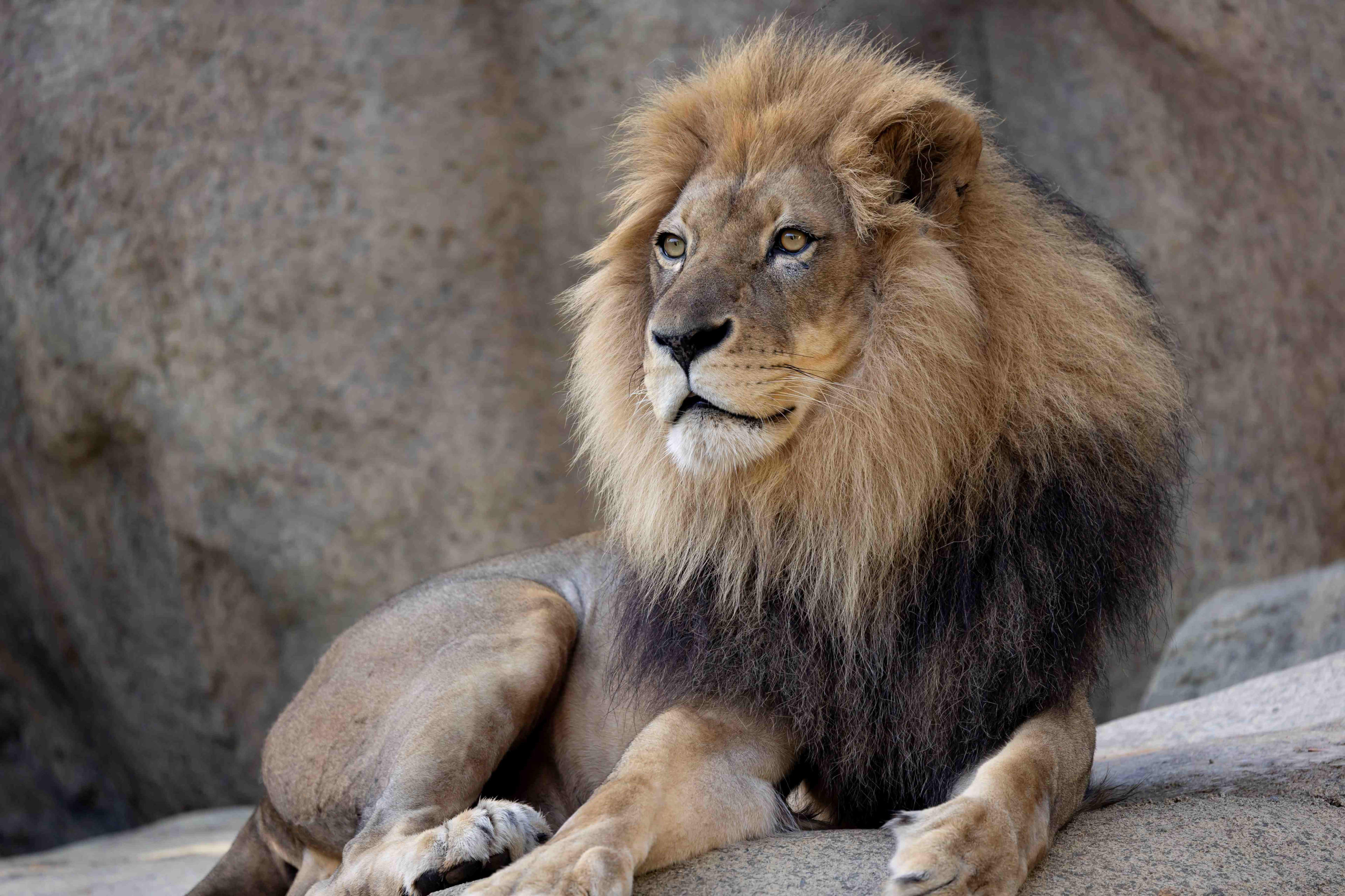 Zoo Atlanta Tickets