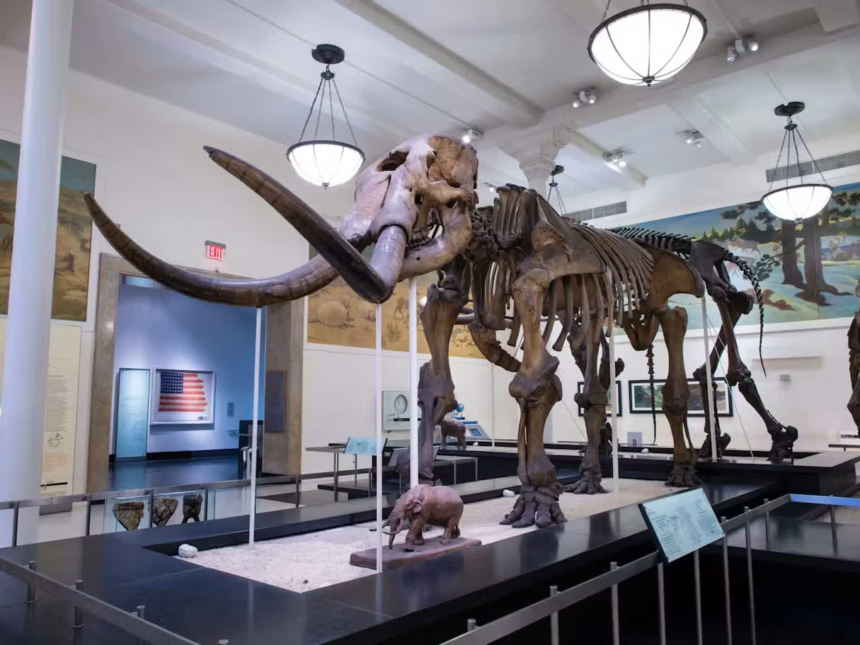 NYC American Museum of Natural History Tickets