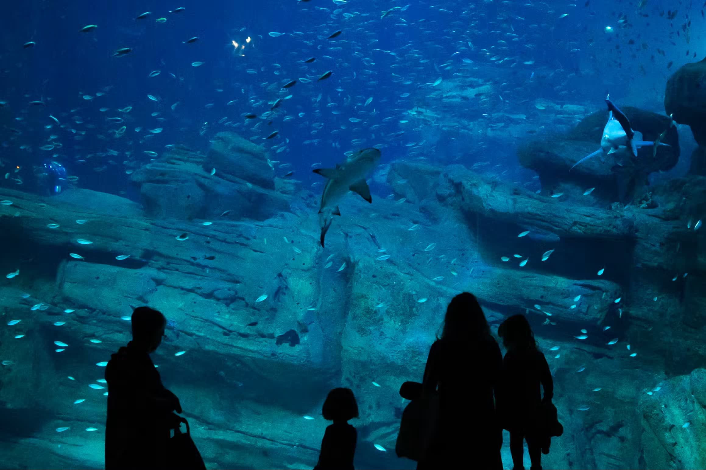 Paris Aquarium Tickets